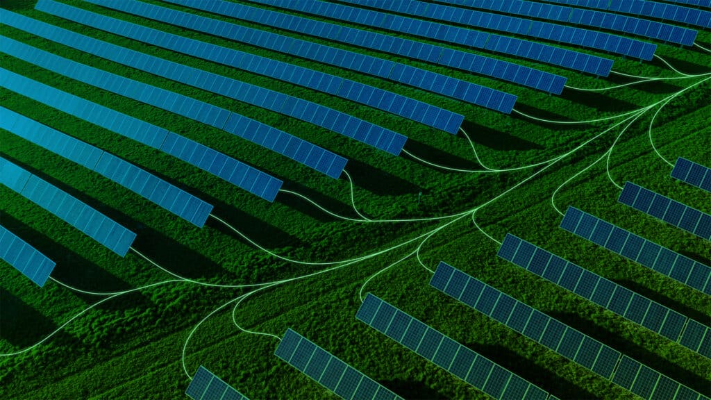 Luftaufnahme von Reihen von Solarmodulen auf einer grünen Wiese, die durch sichtbare Kabel miteinander verbunden sind und das Sonnenlicht zur Erzeugung erneuerbarer Energie einfangen.